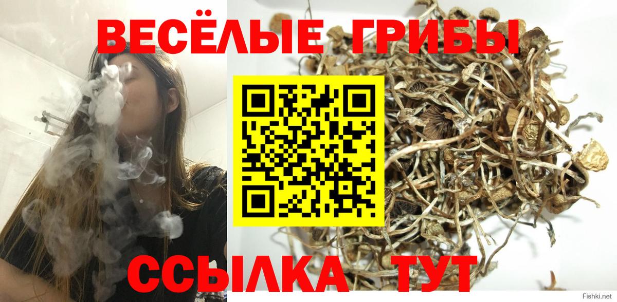 Назрань  Псилоцибиновые грибы ЛСД  Вход с VPN  Псилоцибиновые грибы Cubensis 